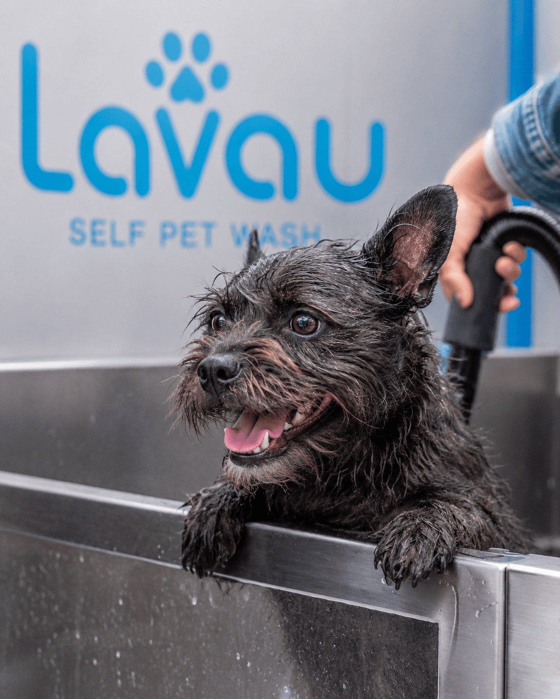 Lavau Experience